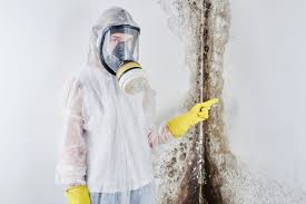 Mold Removal